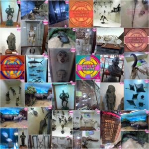 Kerala Museum of Natural History presented by MadeinMycountry MadeinMycountry is a global platform that celebrates and supports local history, culture, art, and nature conservation efforts. For two decades, we have been sponsoring local museums, cultural organizations, travel destinations, historical sites and various cultural events around the world.